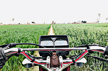 Agriculture Panel Display Products Applied