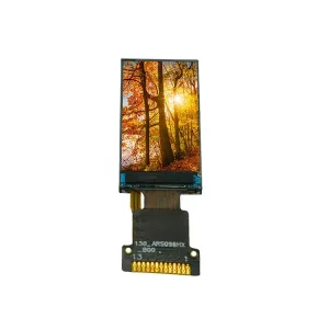 oled lcd module